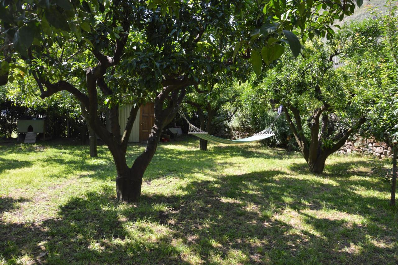 La Casa Di Barry Panzió Pozzuoli Kültér fotó